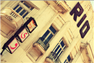 Alexandria Again and Forever 