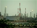 Arabian Peninsula Media Roundup (January 13)