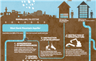 Not Enough Water in the West Bank?