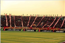 Egypt’s Ultras: No More Politics
