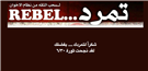Rebel Campaign Says Constitutional Decree Was a 'Surprise' 