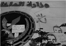 Egypt News Update (31 August 2013) 