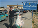 Militants Kill Twenty-Five Egyptian Policemen in Sinai 