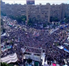 Egypt News Update (29 August 2013) 