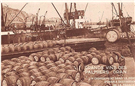 Vineyards of Colonial Algeria: A History of French or Algerian Wine? 