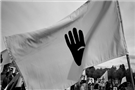 529 Brotherhood Supporters Sentenced to Death in Minya
