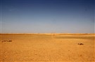 Sahrawi Realities: Space, Architecture, and Mobility of Displacement (Part 1)