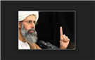 Press Release: Saudi Death Sentence against Shia Leader Is Politically Motivated