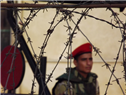 Egypt Media Roundup (November 10)
