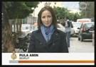 The Curious Case of Rula Amin in Jordan: Undermining the Rule of Law?