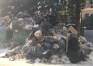 A Perfect Metaphor? The Trash Crisis in Lebanon: An Interview With Ziad Abu-Rish