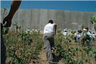 Palestine Media Roundup (September 17)