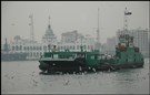 Arabian Peninsula Media Roundup (March 12)