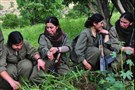 Turkey Media Roundup (August 18)