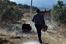 Expropriation, Lawlessness, and Resistance in Yirca's Olive Groves: An Interview with Olcay Bingol and Deniz Bayram