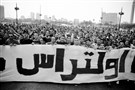 الألتراس والمجد لسياسات الفنفنة