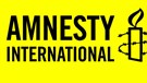 Has Amnesty International Lost Its Way? A Forensic Analysis of Amnesty’s Reports on Operation Protective Edge (Part 1)