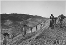 The Contradictions of Afro-Arab Solidarity(ies): The Aswan High Dam and the Erasure of the Global Black Experience 