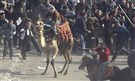 Free Egyptians Apologizes for NDP-Linked Parliamentary Candidate