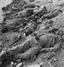 The Forgotten War