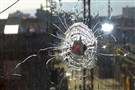 Academics Call for Peace and Justice (Turkey)
