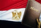 Jadaliyya Page on Egypt's Constitutional Referendum