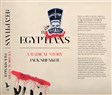 The Egyptians: A Radical History of Egypt’s Unfinished Revolution - Afterword