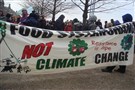 Soma, Ermenek, Yirca: Can Anti-Coal Activists Defend Coal Miners and Olive Farmers?