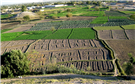 The Impact of Centralized State-Building on the Urban-Rural Divide in Afghanistan