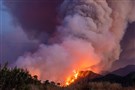 One World, in Flames, From California to Turkey