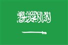 Saudi Arabia Between Conservatism, Accommodation, and Reform 