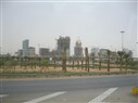 سياسة الاستئثار واقتلاع الجذور