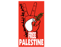 Can We Talk about Palestine? Environmental and Climate Justice