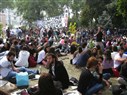 From Cynicism to Protest: Reflections on Youth and Politics in Turkey