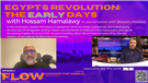 Flow Podcast Episode 4: Egypt’s Revolution - The Early Days with Hossam Hamalawy (Video)
