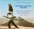 New Texts Out Now: Wilson Chacko Jacob, Working Out Egypt