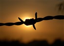 Bahrain: Arbitrary Arrests Escalate