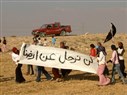 صحراء النقب ليست قاحلة