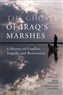 Steve Lonergan and Jassim Al-Asadi, in collaboration with Keith Holmes, The Ghosts of Iraq’s Marshes: Conflict, Tragedy, and Restoration (New Texts Out Now)