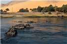 Celebrating the Two-Year Anniversary of Jadaliyya’s Environment Page Launch