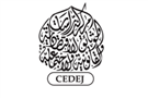 Call for Papers: The Elections of the Revolution - From the Street to the Ballot Box (Cairo, 15 July Deadline) 
