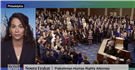 Jadaliyya Co-Editor Noura Erakat Discusses Netanyahu's Address to Congress on Democracy Now! (Video)