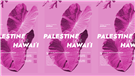Palestine for Hawaii - Teach-In and Fundraiser to Support Kanaka Maoli (Native Hawaiian) Communities Rebuild (Video)
