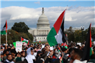 DMV Faculty for Academic Freedom: Open Letter from Faculty and Staff across the DC, Maryland, and Virginia Region