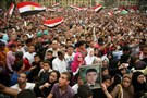 Egypt's Incomplete Revolution: The Challenge of Post-Mubarak Authoritarianism 
