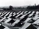 Palestinian Refugees and the Peace Process: Caught between Israeli Xenophobia and Palestinian Political Expediency