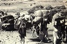 Palestinian Refugees in Jordan and the Revocation of Citizenship: An Interview with Anis F. Kassim