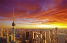 Arabian Peninsula Media Roundup (March 15)