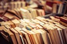 The Absence of Contemporary Literature in Egypt’s Education System