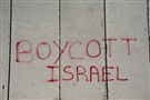 Boycotting Israeli Academic Institutions: Advice for Anthropologists
